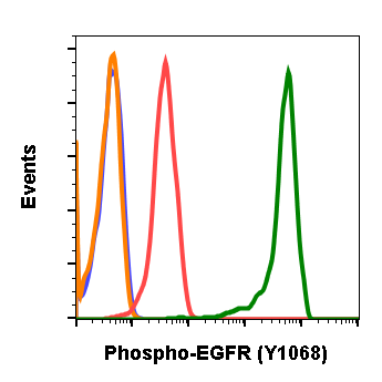 Cell Culture Products