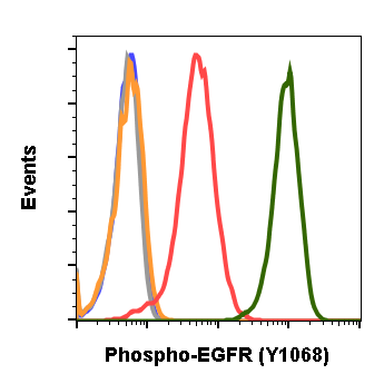 Cell Culture Products