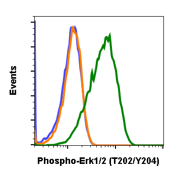 Cell Culture Products