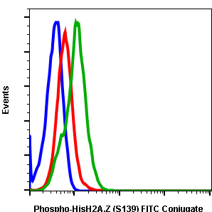 Cell Culture Products