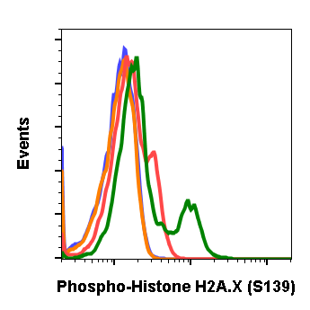 Cell Culture Products