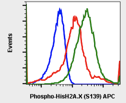 Cell Culture Products