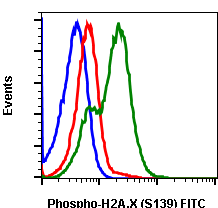 Cell Culture Products