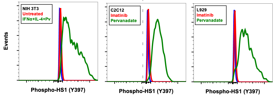 Cell Culture Products