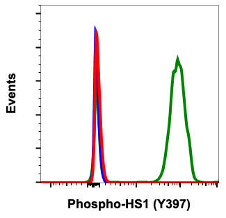 Cell Culture Products
