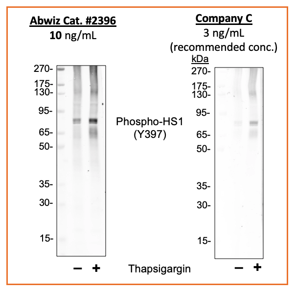 Cell Culture Products