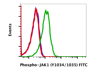 Cell Culture Products
