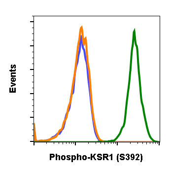 Cell Culture Products