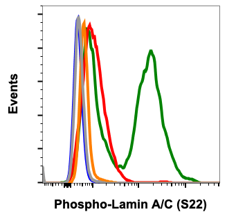 Cell Culture Products