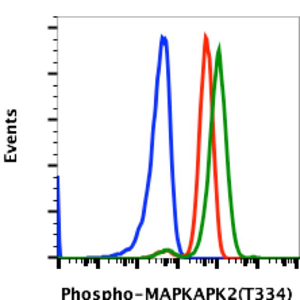 Cell Culture Products