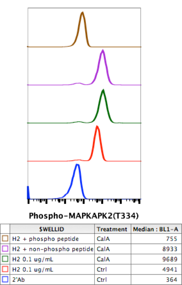 Cell Culture Products