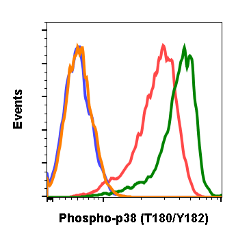 Cell Culture Products