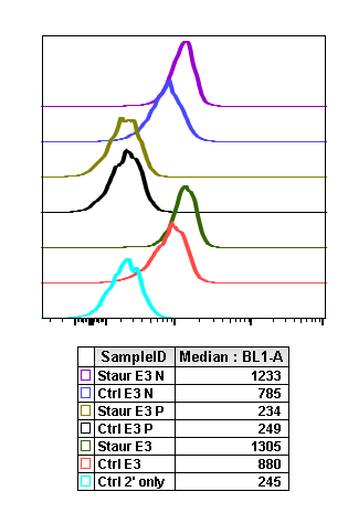 Cell Culture Products