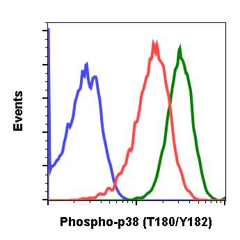 Cell Culture Products