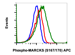 Cell Culture Products