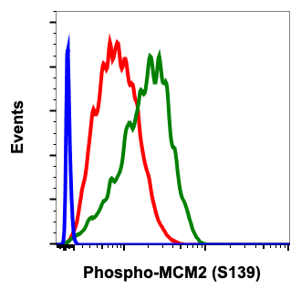 Cell Culture Products