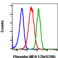 Cell Culture Products