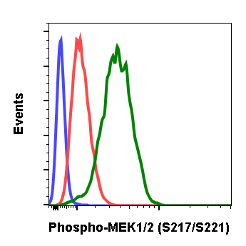 Cell Culture Products