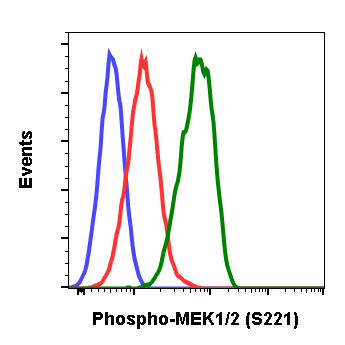 Cell Culture Products
