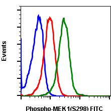 Cell Culture Products