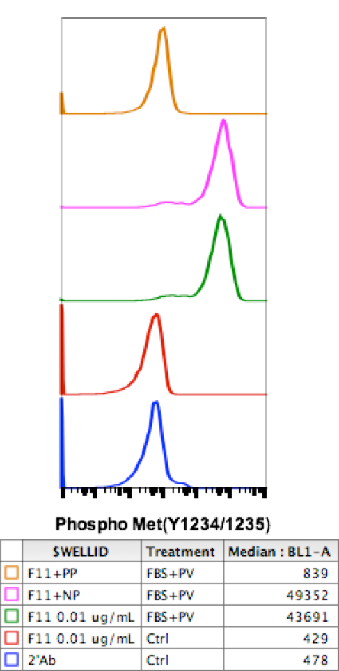 Cell Culture Products