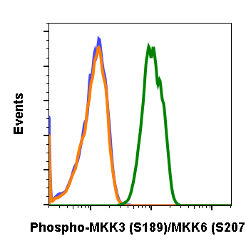 Cell Culture Products