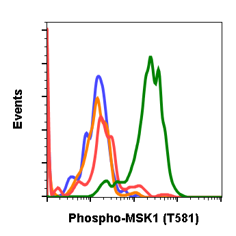 Cell Culture Products