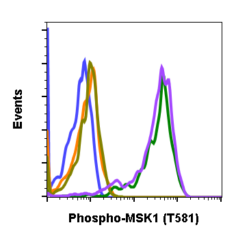 Cell Culture Products