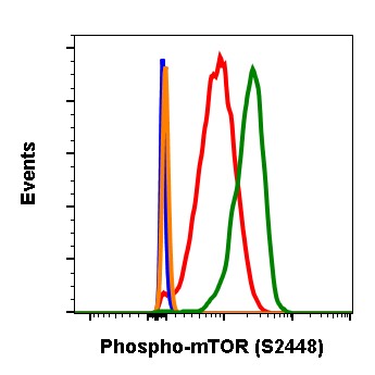 Cell Culture Products