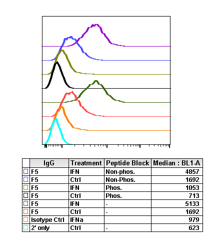 Cell Culture Products