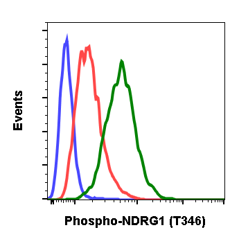 Cell Culture Products