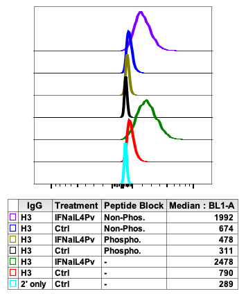 Cell Culture Products