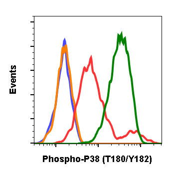 Cell Culture Products