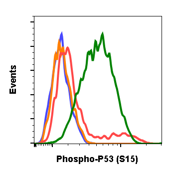 Cell Culture Products