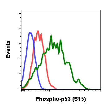 Cell Culture Products