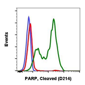 Cell Culture Products