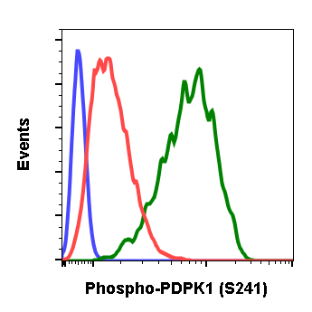 Cell Culture Products