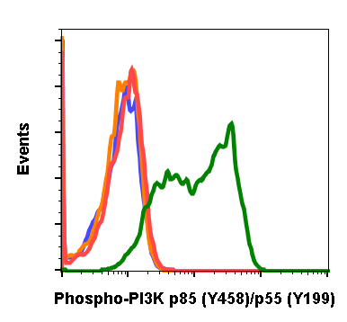 Cell Culture Products
