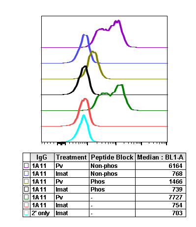 Cell Culture Products