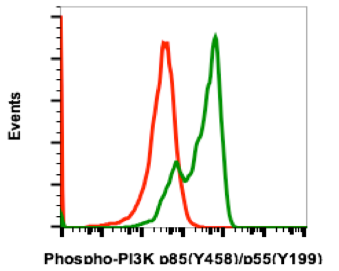 Cell Culture Products