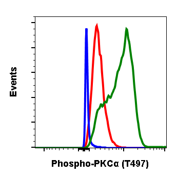 Cell Culture Products