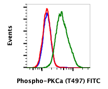 Cell Culture Products
