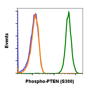 Cell Culture Products