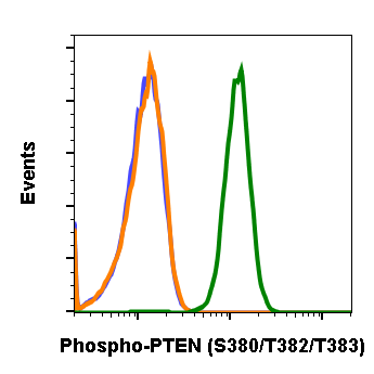 Cell Culture Products