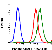 Cell Culture Products