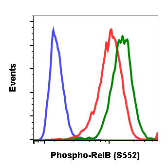 Cell Culture Products
