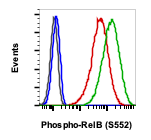 Cell Culture Products
