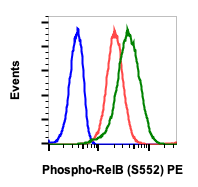 Cell Culture Products