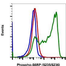 Cell Culture Products