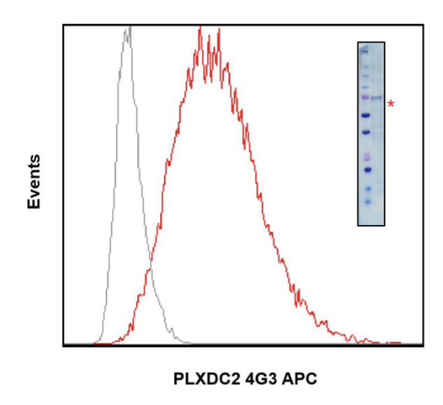 Cell Culture Products
